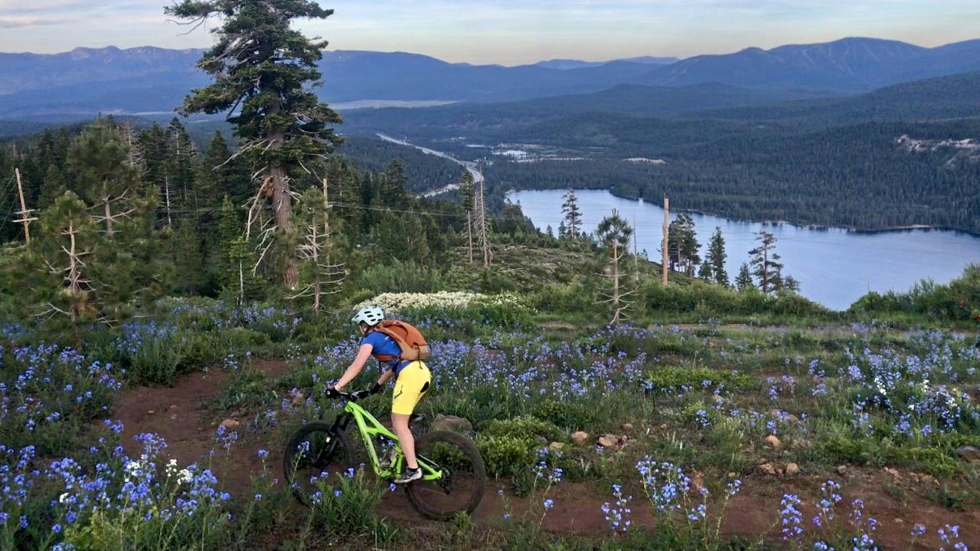 Donner Lake Inn Truckee Dış mekan fotoğraf